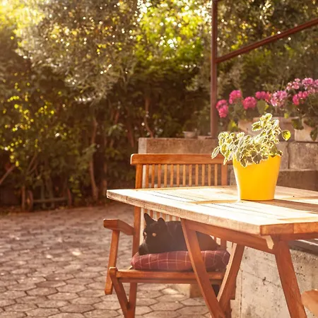 Apartament Borik Pula